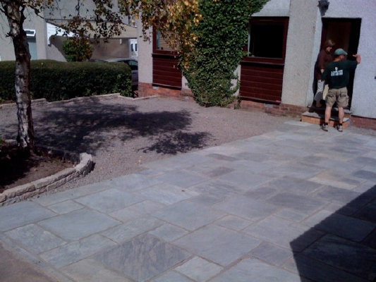 thegardendoctor002008.jpg