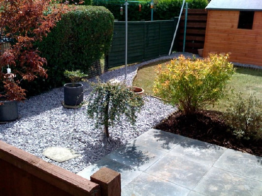 thegardendoctor002014.jpg