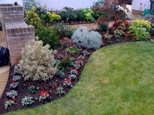 thegardendoctor002026.jpg