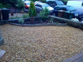 thegardendoctor002027.jpg