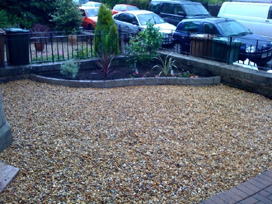 thegardendoctor002029.jpg