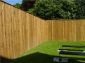 thegardendoctor002030.jpg