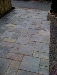 thegardendoctor004003.jpg